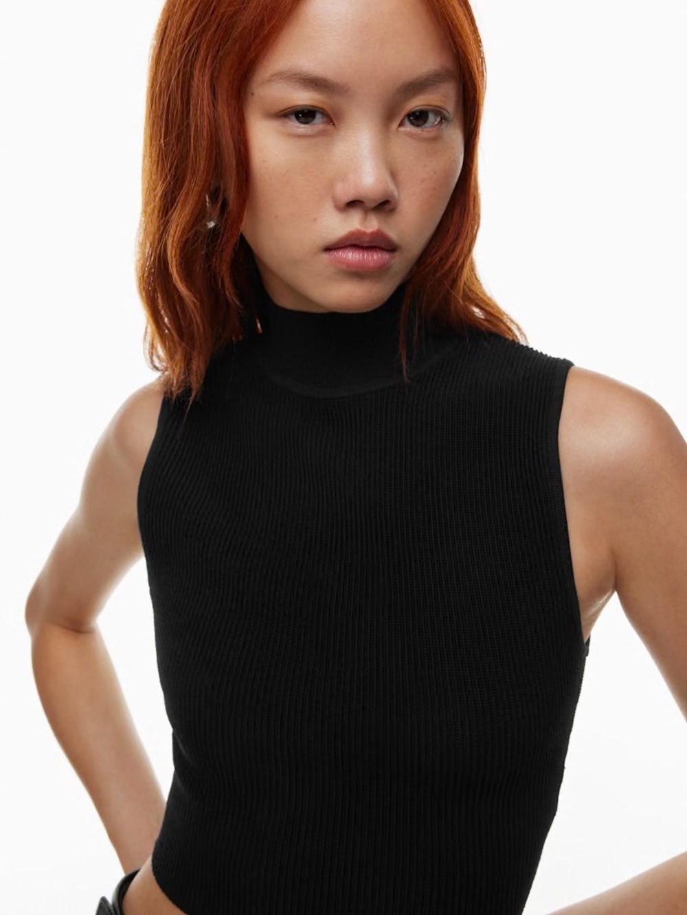 ARITZIA Babaton Sleeveless Mock Neck Ribbed Top Crop